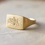 The California Live Oak