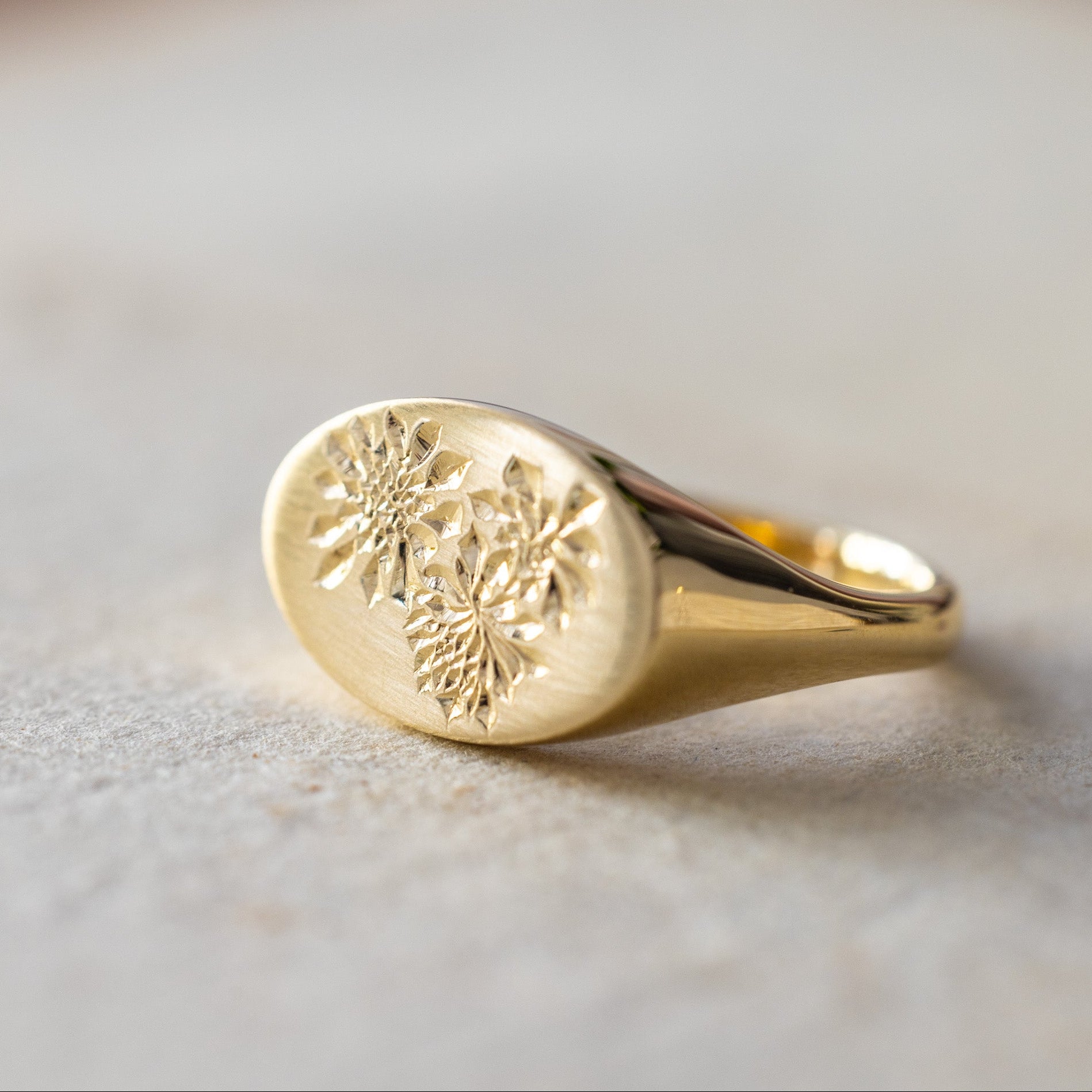 succulent ring The Native Succulent – Rebecca Overmann
