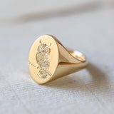 The Great Horned Owl