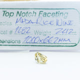 The Lichen - TNF #1282