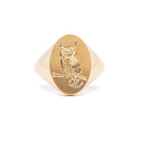 The Great Horned Owl