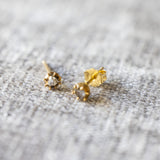 The Collet Studs