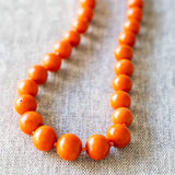 The 60's Coral